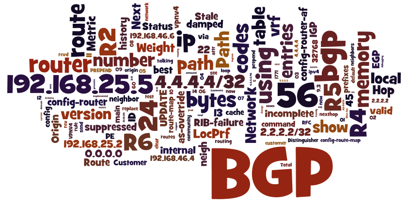 What is BGP ?