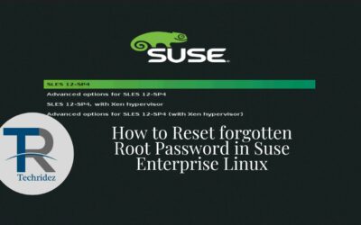 How to Reset forgotten Root Password in Suse Enterprise Linux